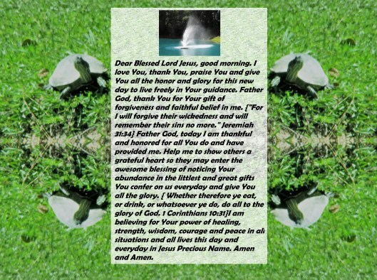 © Photo Artist Susan Ruth Robertson 090025006100 SX 400 IS 011 - Copy.JPG