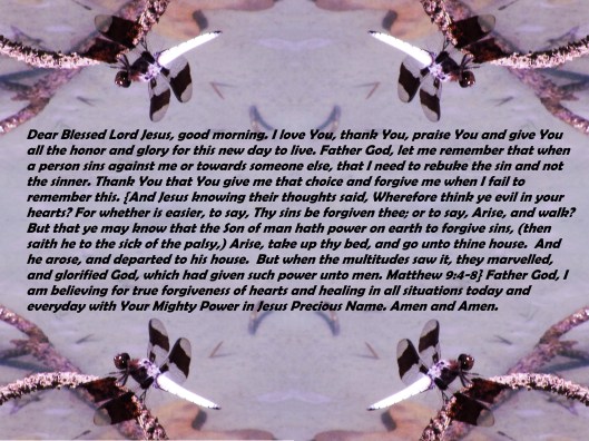 © Photo Artist Susan Ruth Robertson 090025006100 SX 400 IS 026 - Copy - Copy - Copy.JPG