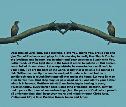 ©Photo Artist Susan Ruth Robertson 090025006100 071 - Copy - Copy.JPG