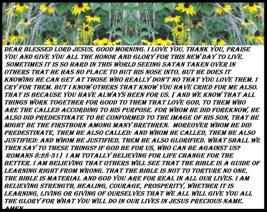 © Photo Artist Susan ruth Robertson 09002500100 057 - Copy.JPG