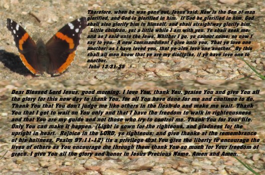 © Photo Artist Susan Ruth Robertson 090025006100 034 - Copy.JPG