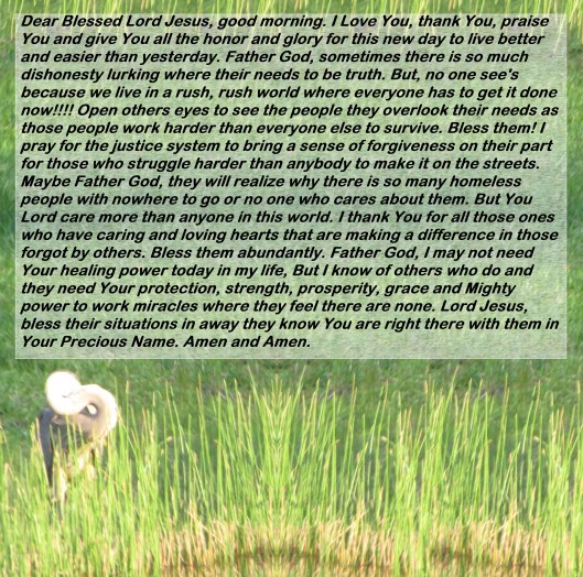 © Photo Artist Susan Ruth Robertson 090025006100 (35) - Copy - Copy.JPG