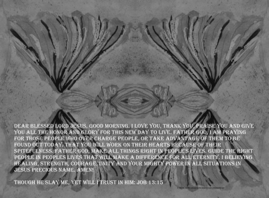 © Photo Artist Susan Ruth Robertson 090025006100 SX 400 IS 042 - Copy - Copy.JPG