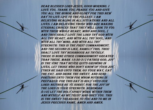 © Photo Artist Susan Ruth Robertson 090025006100 SX 400 IS 068 - Copy.JPG