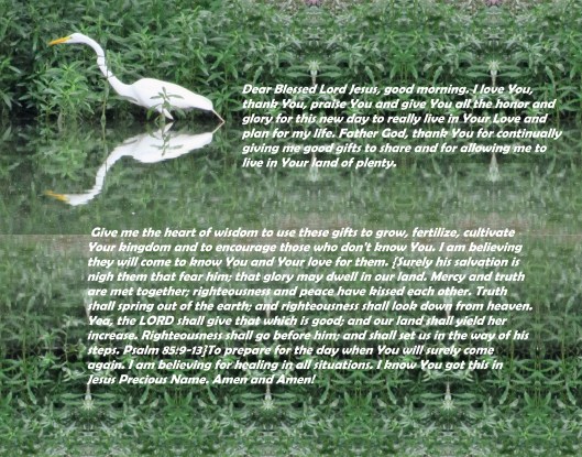 SX400IS  © Photo Artist Susan Ruth Robertson 090025006100 002 - Copy - Copy - Copy.JPG