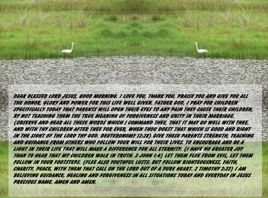 SX400IS  © Photo Artist Susan Ruth Robertson 090025006100 021 - Copy.JPG