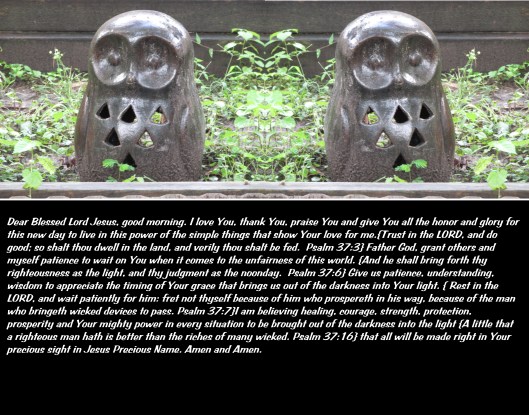 SX400IS © Photo Artist Susan Ruth Robertson 090025006100 031 - Copy.JPG