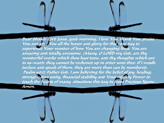 2017-05-23 © Photo Artist Susan Ruth Robertson 090025006100 032 - Copy.JPG