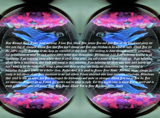 2017-05-23 © Photo Artist Susan Ruth Robertson 090025006100 046 - Copy - Copy - Copy.JPG