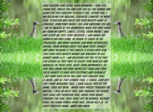 © Photo Artist Susan ruth Robertson 09002500100 001 - Copy - Copy.JPG