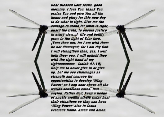 © Photo Artist Susan ruth Robertson 09002500100 025 - Copy - Copy.JPG