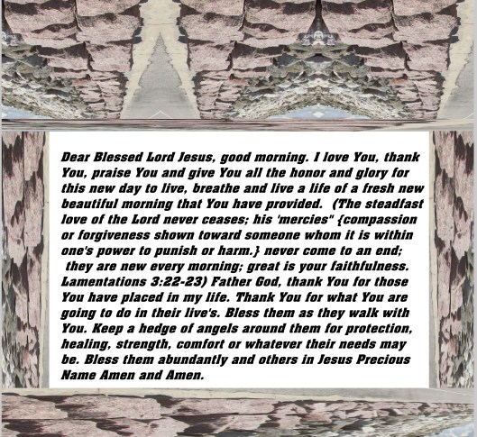 © Photo Artist Susan ruth Robertson 09002500100 055 - Copy - Copy.JPG