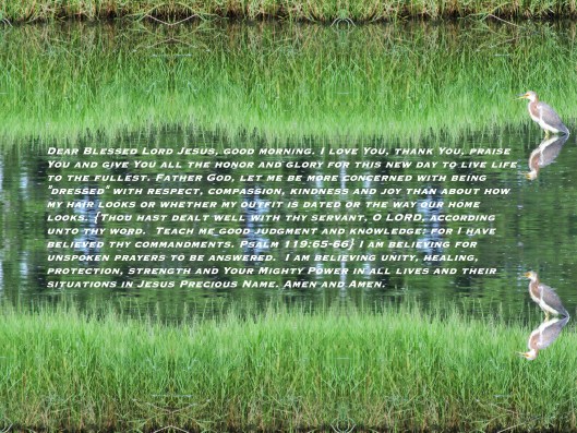 © Photo Artist Susan Ruth Robertson 090025006100 008 - Copy - Copy.JPG