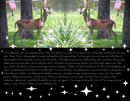 © Photo Artist Susan Ruth Robertson 090025006100 012 - Copy (2).JPG