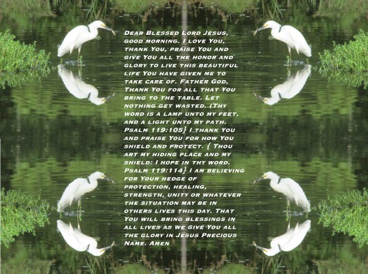 © Photo Artist Susan Ruth Robertson 090025006100 012 - Copy.JPG