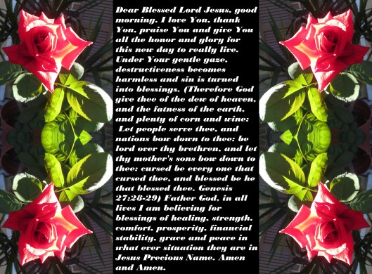 © Photo Artist Susan Ruth Robertson 090025006100 018 - Copy - Copy - Copy (2).JPG