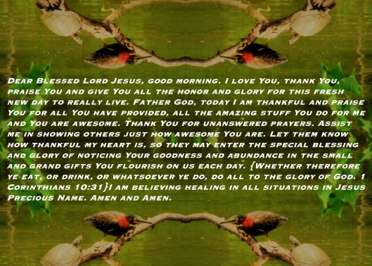 © Photo Artist Susan Ruth Robertson 090025006100 026 - Copy.JPG