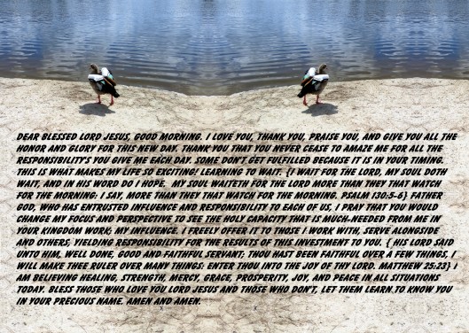 © Photo Artist Susan Ruth Robertson 090025006100 029 - Copy - Copy (3).JPG