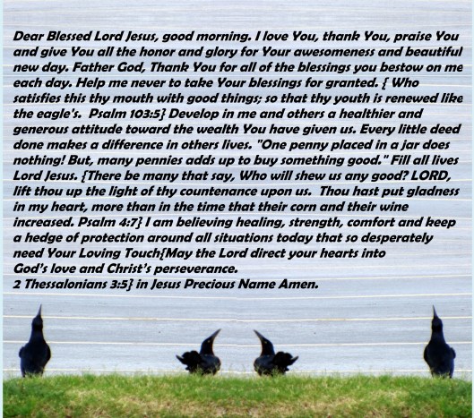 © Photo Artist Susan Ruth Robertson 090025006100 030 - Copy - Copy - Copy.JPG