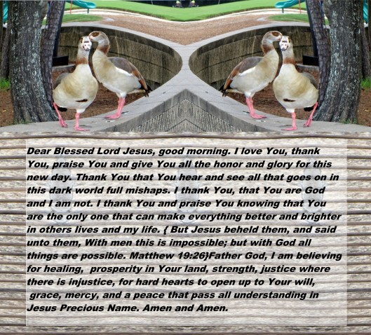 © Photo Artist Susan Ruth Robertson 090025006100 050 - Copy.JPG