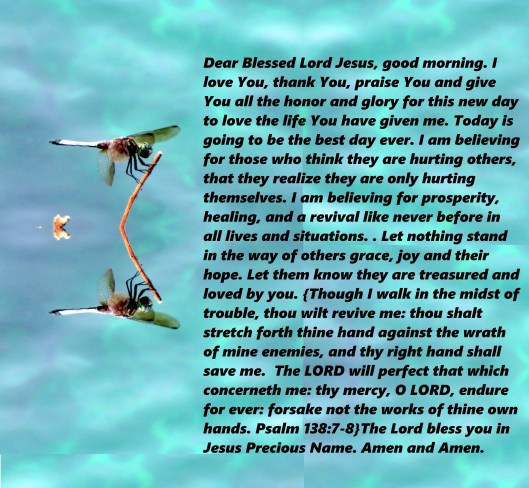 © Photo Artist Susan Ruth Robertson 090025006100 080 - Copy (3).JPG