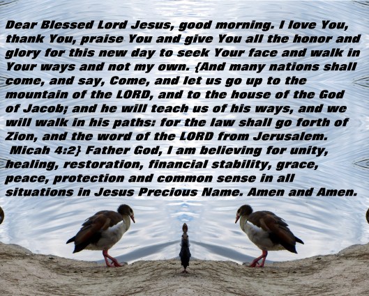 © Photo Artist Susan Ruth Robertson 090025006100 125 - Copy (3).JPG