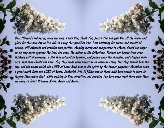 © Photo Artist Susan Ruth Robertson SX260 HS 015 - Copy.JPG