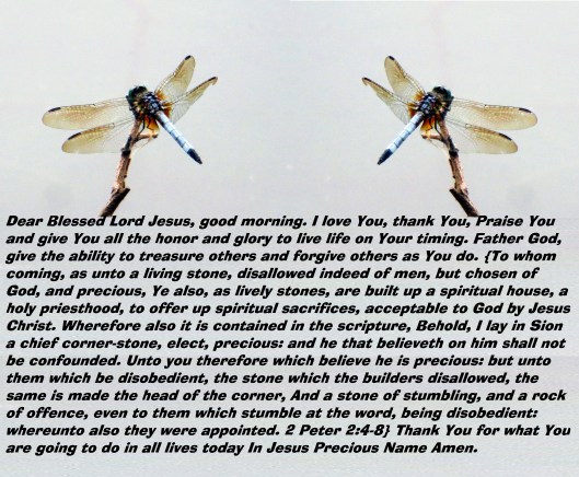 SX260 HS © Photo Artist Susan Ruth Robertson 090025006100 052 - Copy (4).JPG