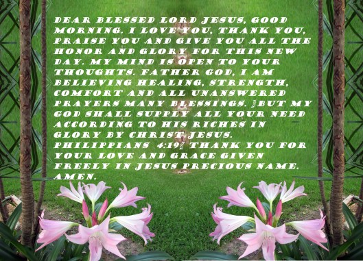 SX400 IS © Photo Artist Susan Ruth Robertson 001 - Copy - Copy - Copy (2) - Copy.JPG