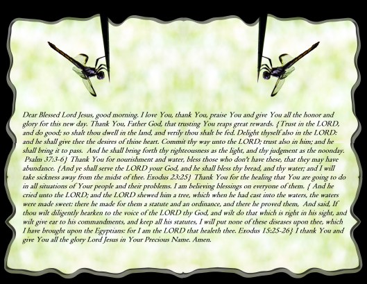 SX400 IS © Photo Artist Susan Ruth Robertson 090025006100 025 - Copy (2) - Copy - Copy - Copy - Copy.JPG