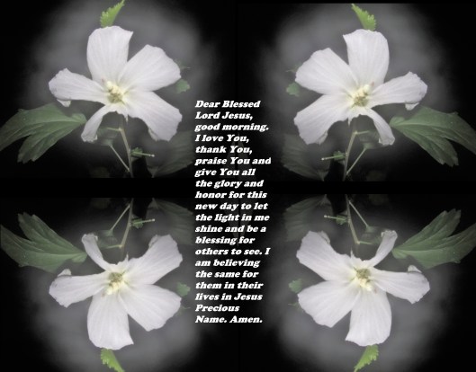 SX400 IS © Photo Artist Susan Ruth Robertson 090025006100 042 - Copy (2).JPG