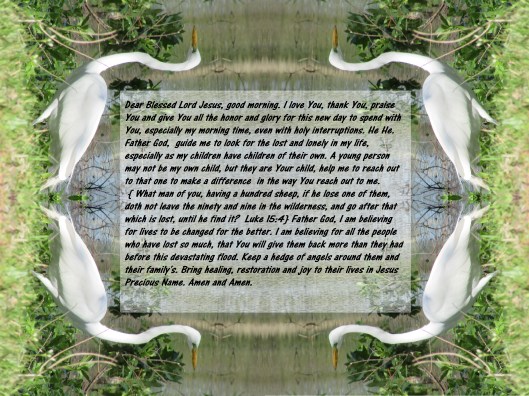 © Photo Artist Susan ruth Robertson 09002500100 005 - Copy (2) - Copy - Copy.JPG