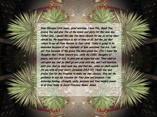 © Photo Artist Susan ruth Robertson 09002500100 017 - Copy
