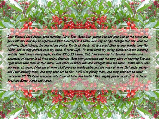 © Photo Artist Susan Ruth Robertson 090025006100 003 - Copy - Copy - Copy.JPG