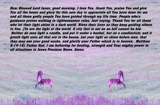 © Photo Artist Susan Ruth Robertson 090025006100 018 - Copy - Copy - Copy.JPG