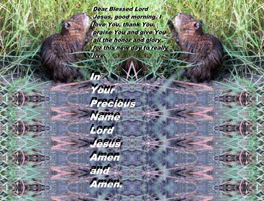 © Photo Artist Susan Ruth Robertson 090025006100 030 - Copy.JPG