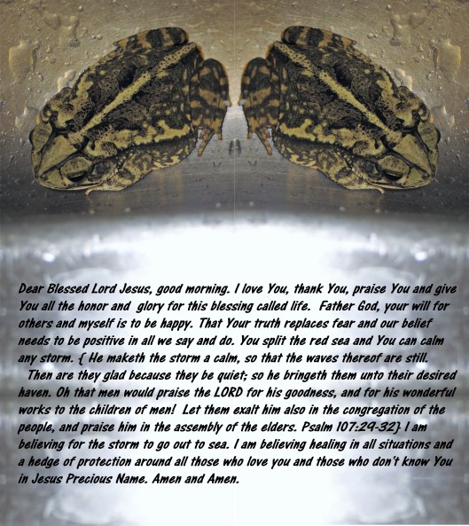 © Photo Artist Susan Ruth Robertson 090025006100 032.JPG