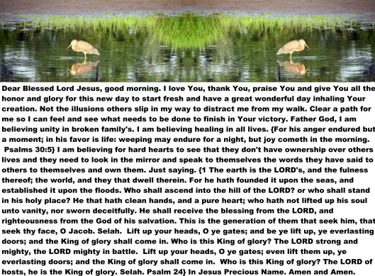 © Photo Artist Susan Ruth Robertson 090025006100 038 - Copy.JPG