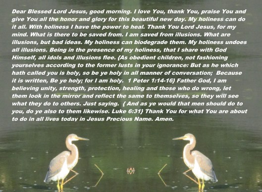 © Photo Artist Susan Ruth Robertson 090025006100 062 - Copy (2) - Copy.JPG