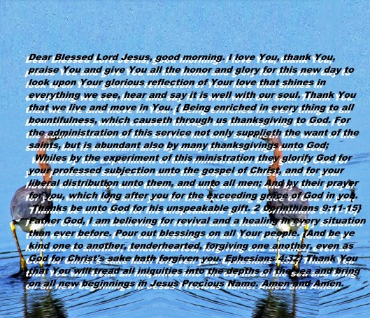 © Photo Artist Susan Ruth Robertson 090025006100 122 - Copy (2).JPG