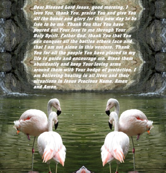 © Photo Artist Susan Ruth Robertson 090025006100 405 - Copy - Copy (2).JPG