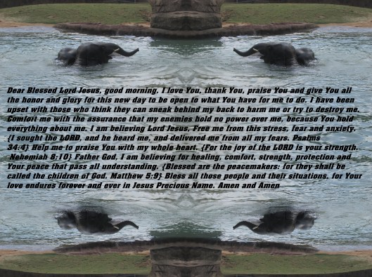 © Photo Artist Susan Ruth Robertson 090025006100 470 - Copy.JPG