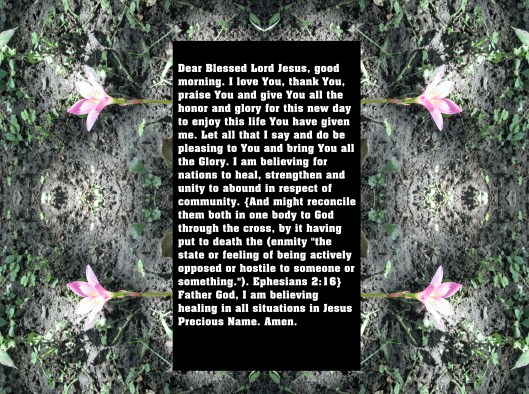 © Photo Artist Susan Ruth Robertson 090025006100 SX 400 IS 034 - Copy.JPG