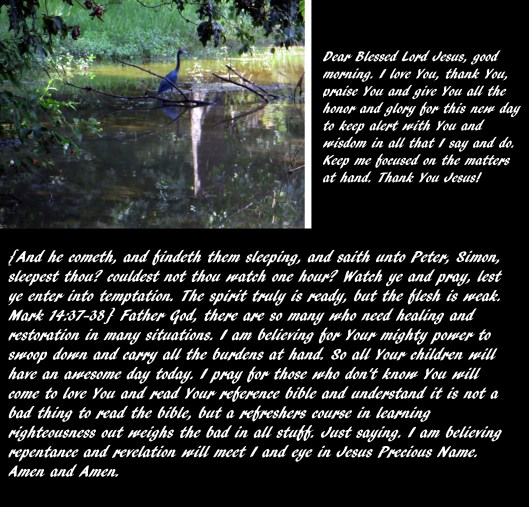 © Cortney Delay 005.JPG