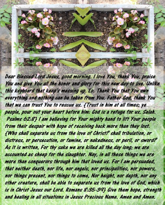 © Photo Artist Susan ruth Robertson 09002500100 028 - Copy - Copy (2).JPG