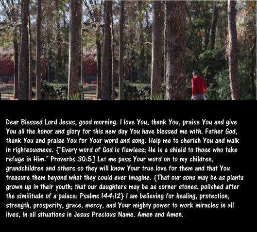 © Photo Artist Susan ruth Robertson 09002500100 035 - Copy - Copy.JPG