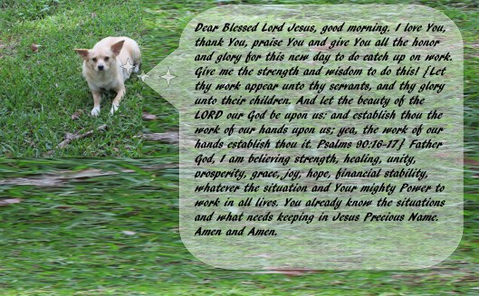 © Photo Artist Susan Ruth Robertson 090025006100 002 - Copy.JPG