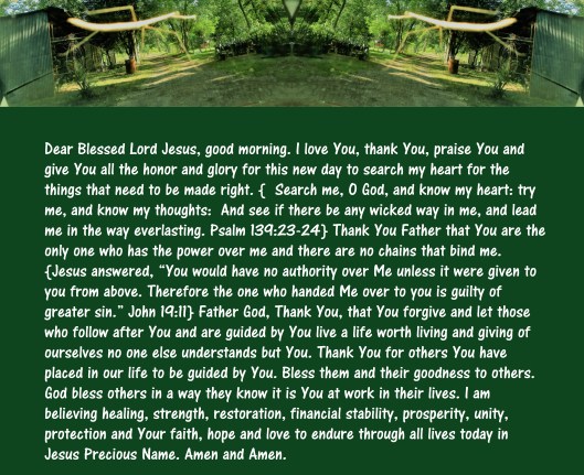 © Photo Artist Susan Ruth Robertson 090025006100 005 - Copy.JPG