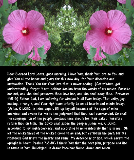 © Photo Artist Susan Ruth Robertson 090025006100 006 - Copy - Copy (2).JPG