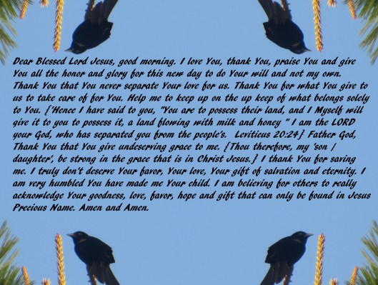 © Photo Artist Susan Ruth Robertson 090025006100 020 - Copy - Copy.JPG